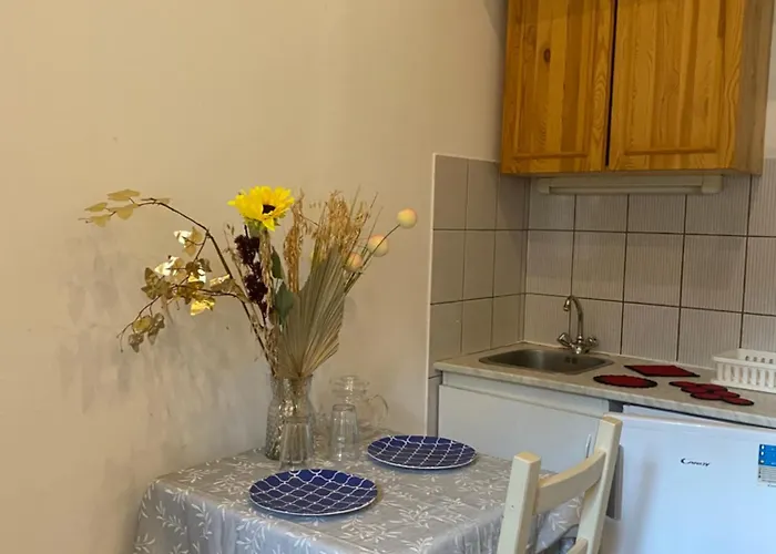 Paloc Panzio Bed and breakfast Szugy